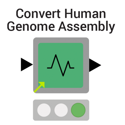 Convert Human Genome Assembly